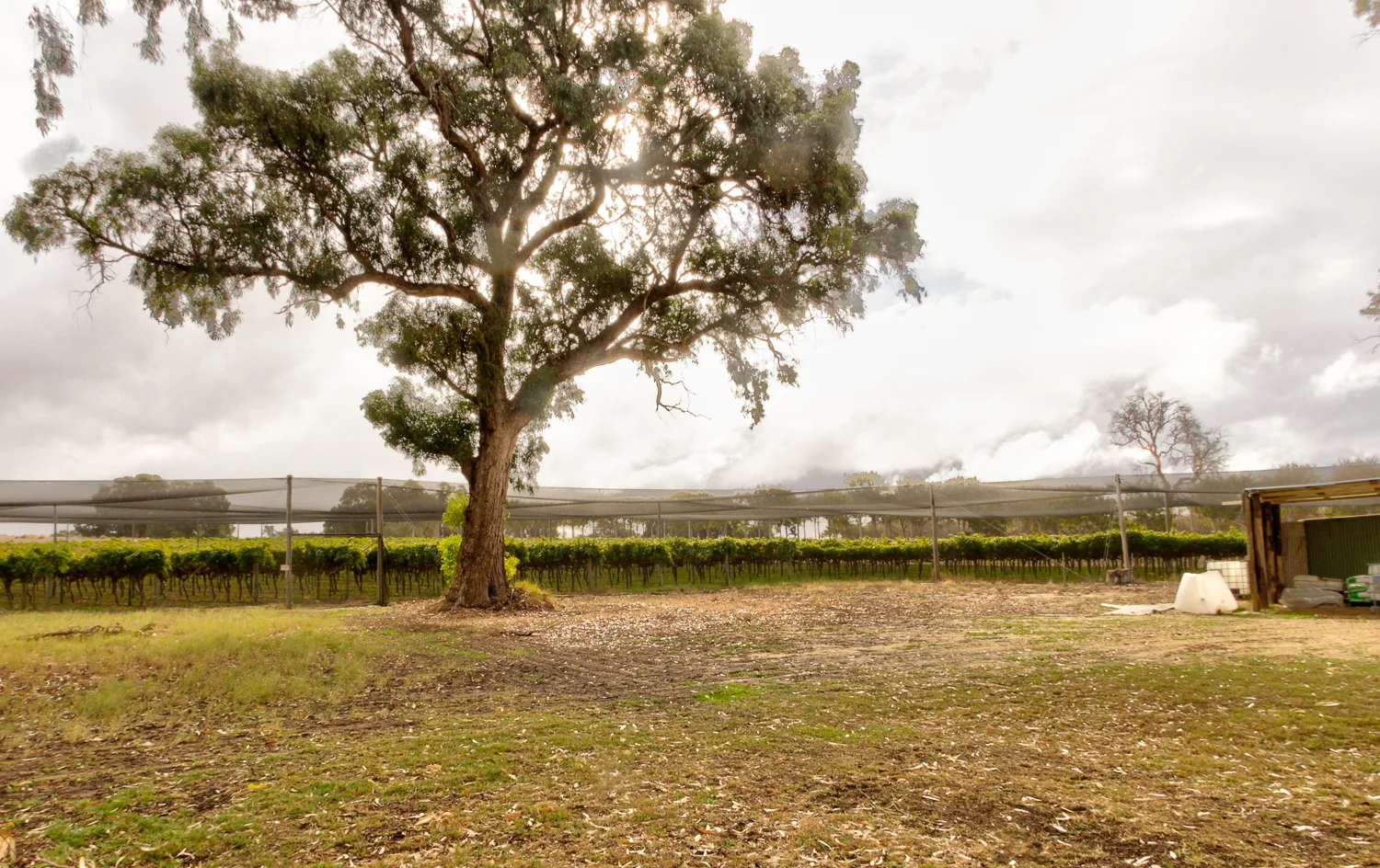 Additional image 22 of 317 Rangeview Drive, Wanerie WA 6503