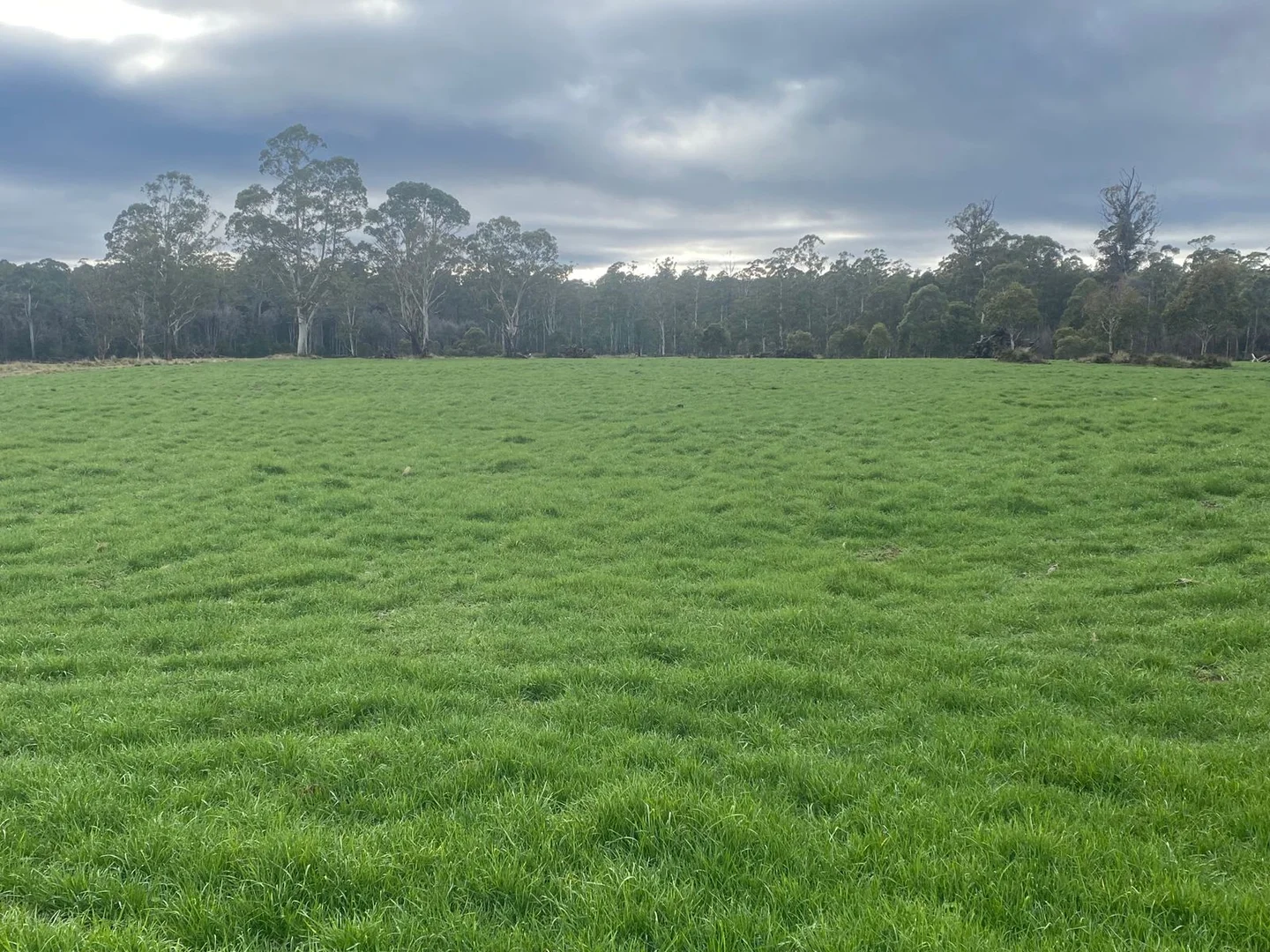 Additional image 19 of 560 Gads Hill Road, Mersey Forest TAS 7304