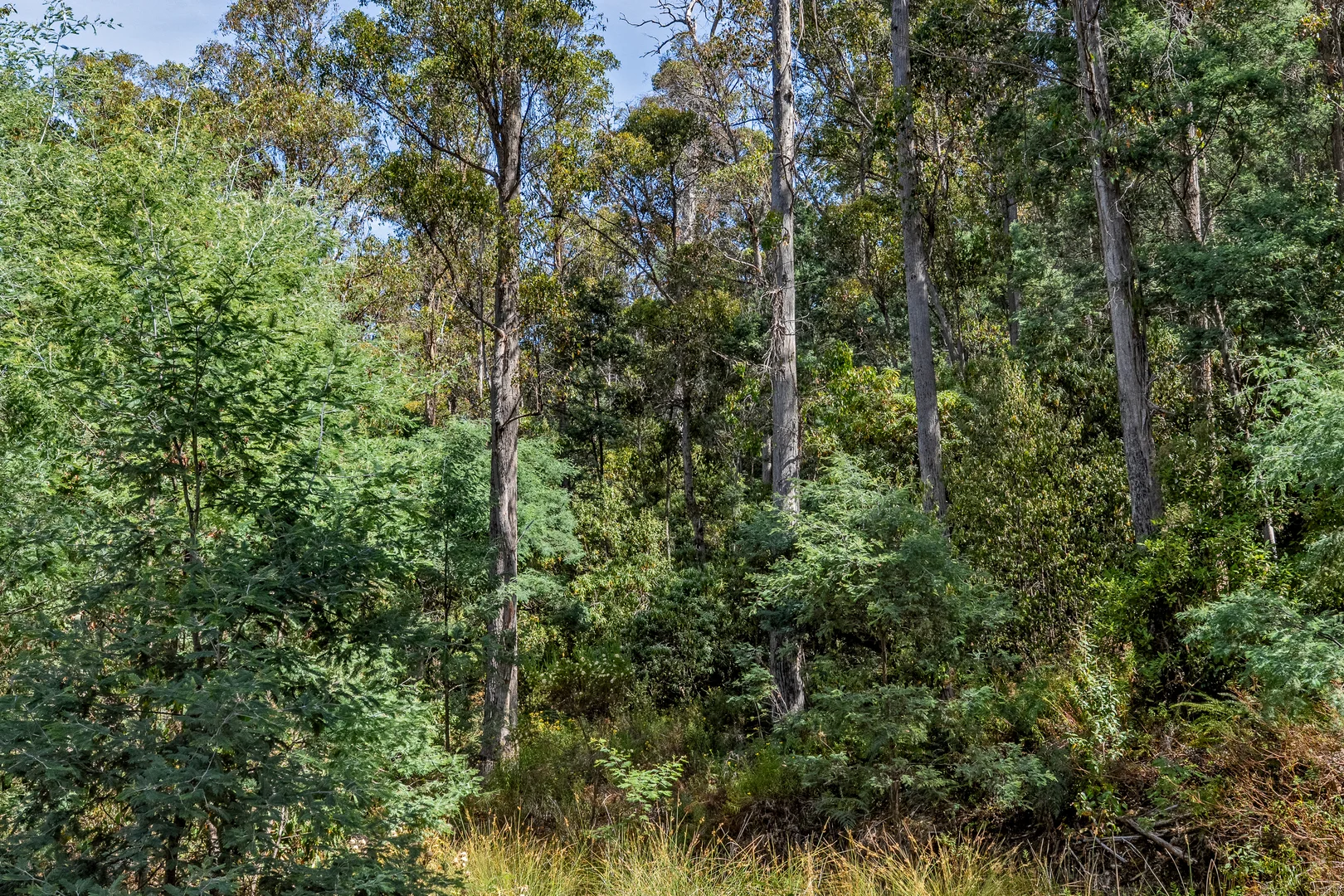 Additional image 42 of 1 Douglas Road, Molesworth TAS 7140