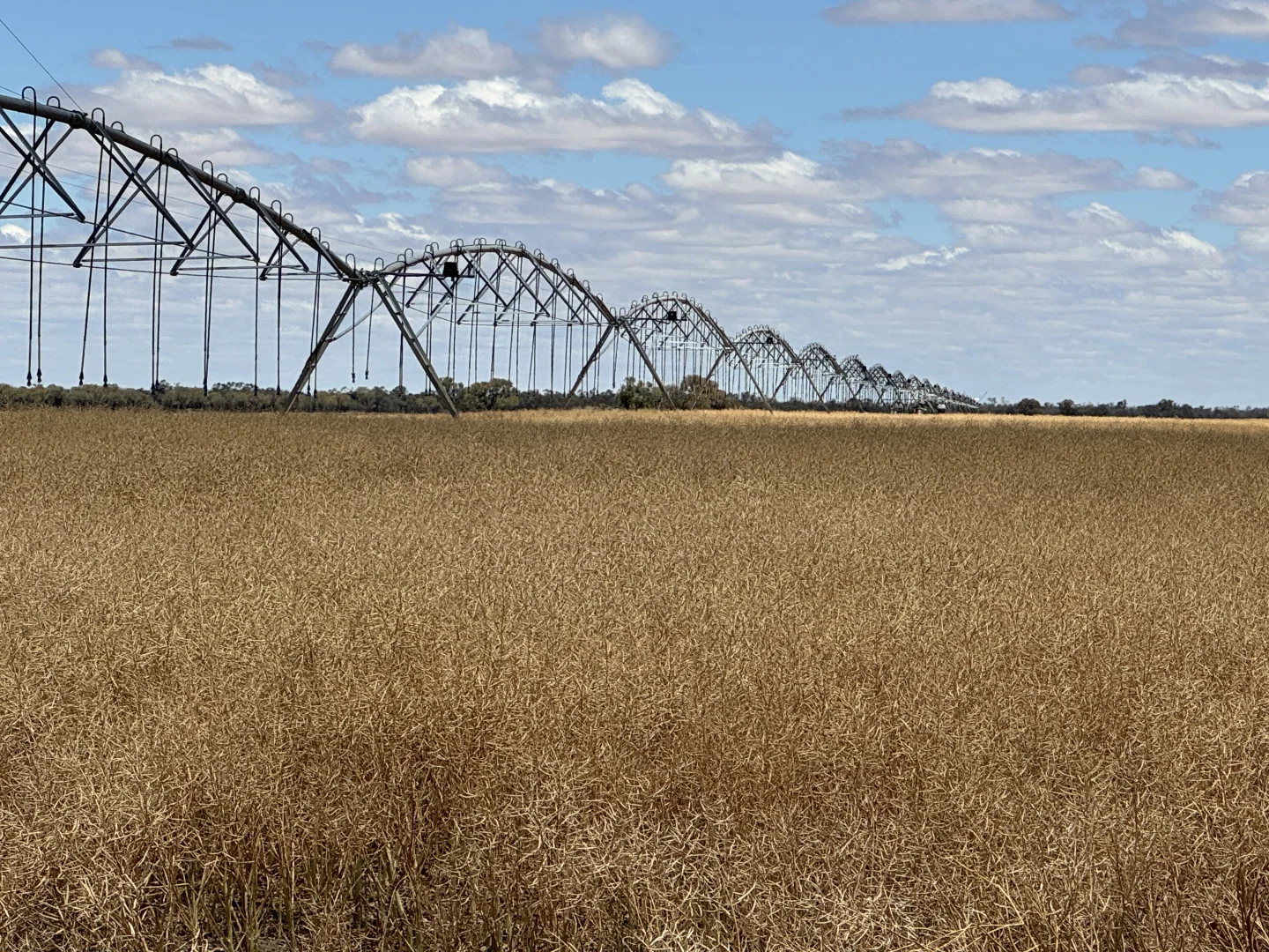 Additional image 9 of 300 Devon Road, Deniliquin NSW 2710