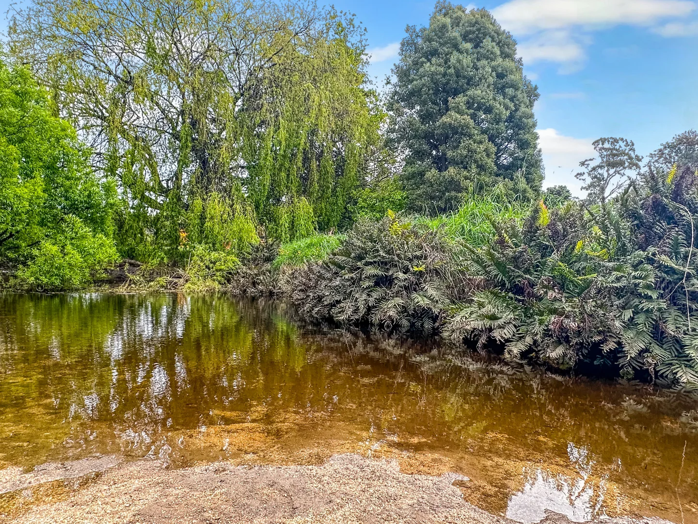 Additional image 20 of Lot 1 Binalong Bay Road, St Helens TAS 7216