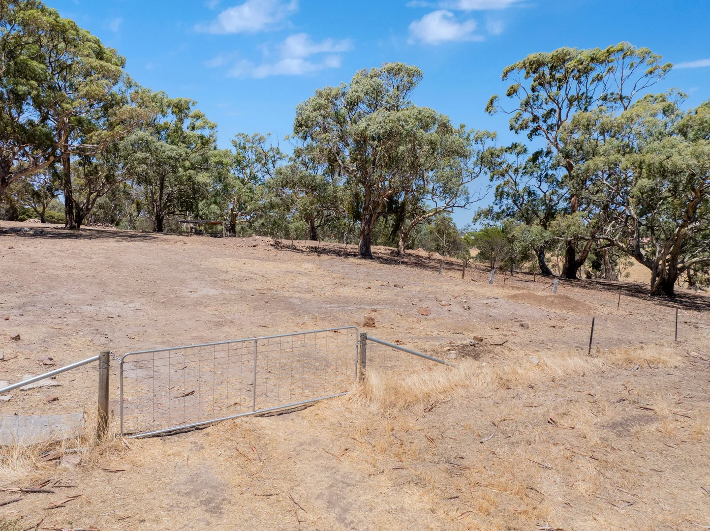 Additional image 38 of 134 Farrell Flat Road, Clare SA 5453