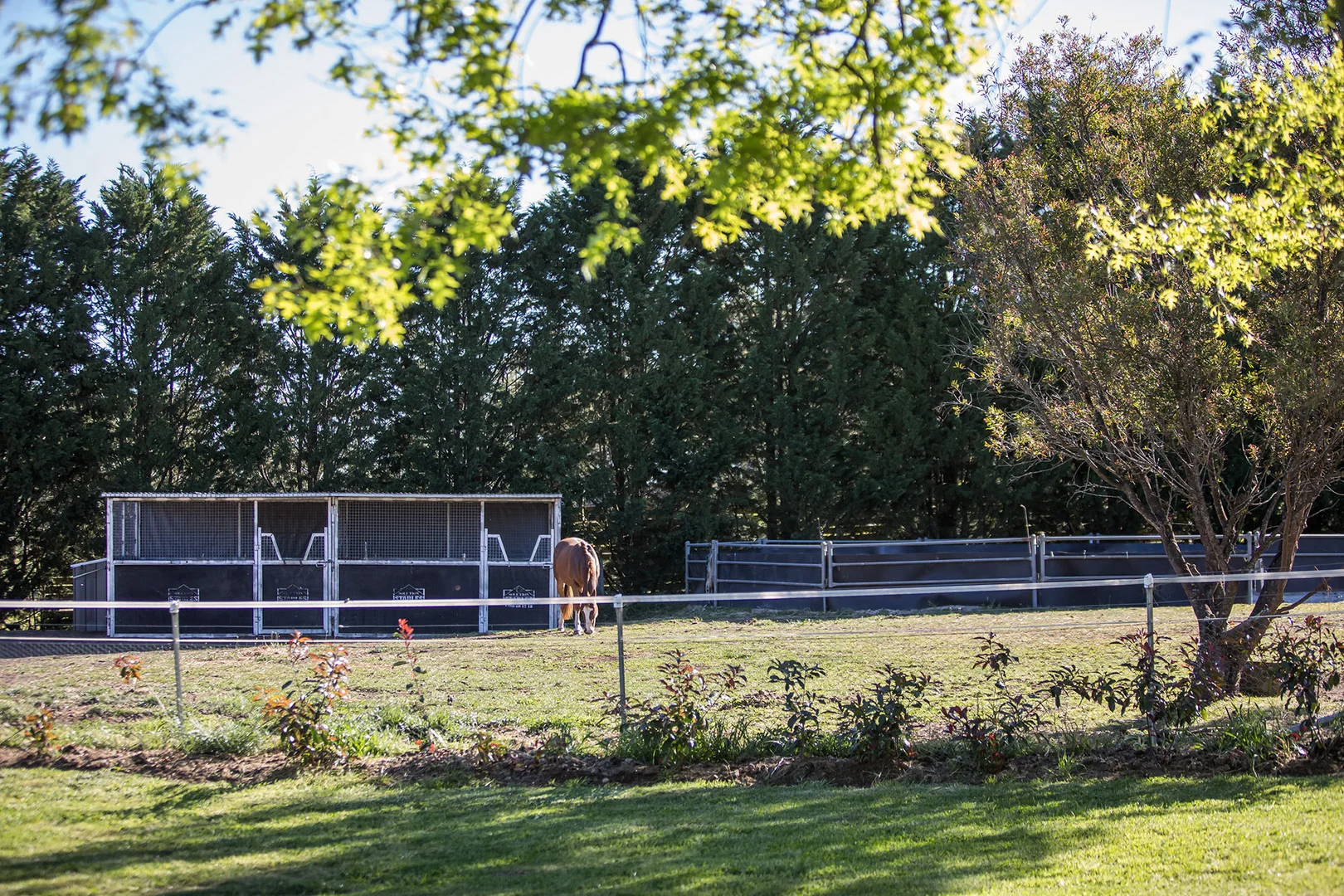 Additional image 16 of 865 Joadja Road, Joadja NSW 2575