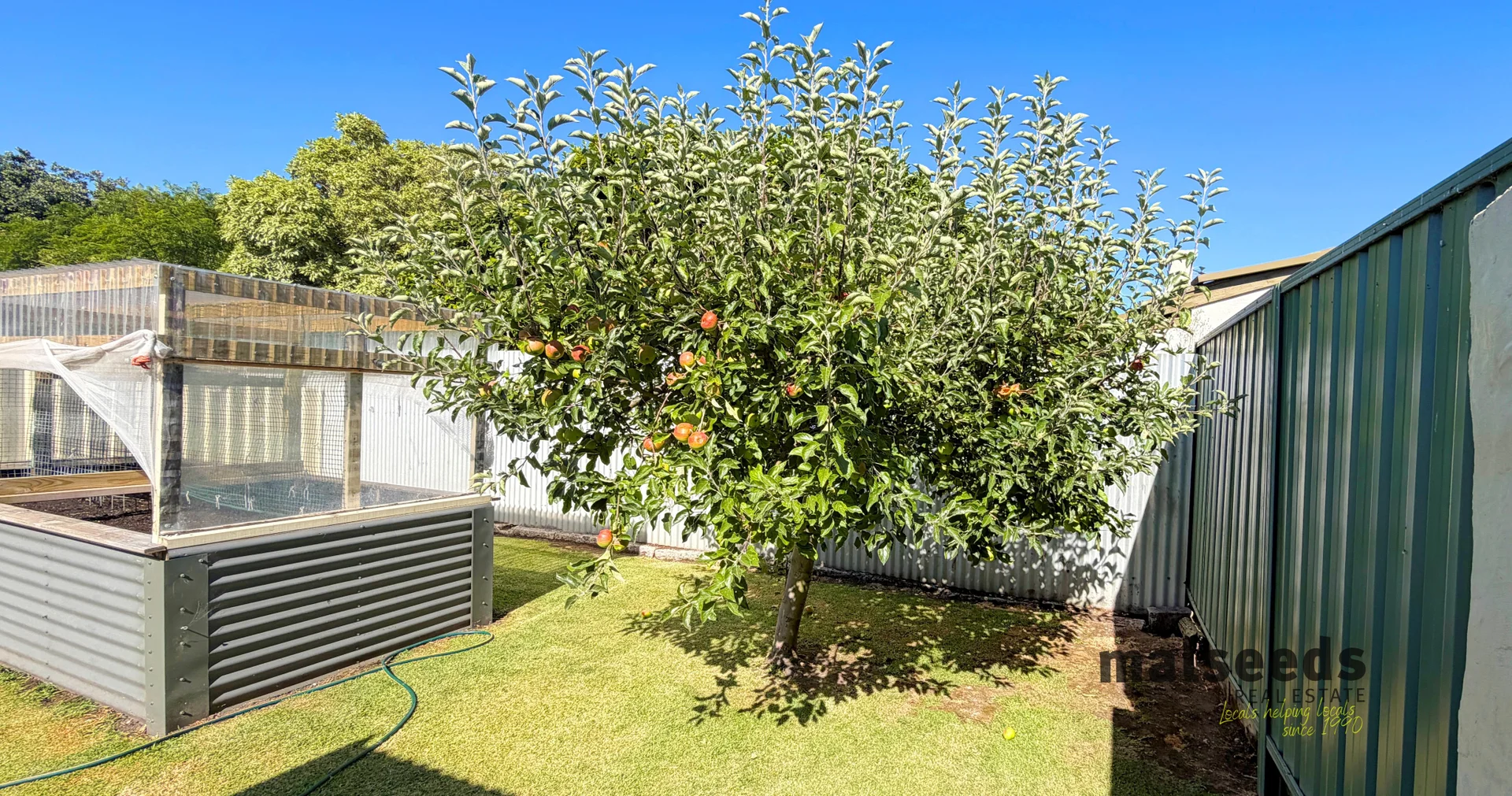 Additional image 15 of 19 Wilson Street, Mount Gambier SA 5290