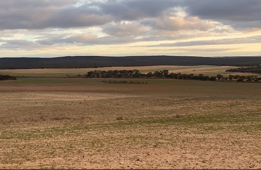 Additional image 4 of Section 15 Glynn Road, Minbrie SA 5602