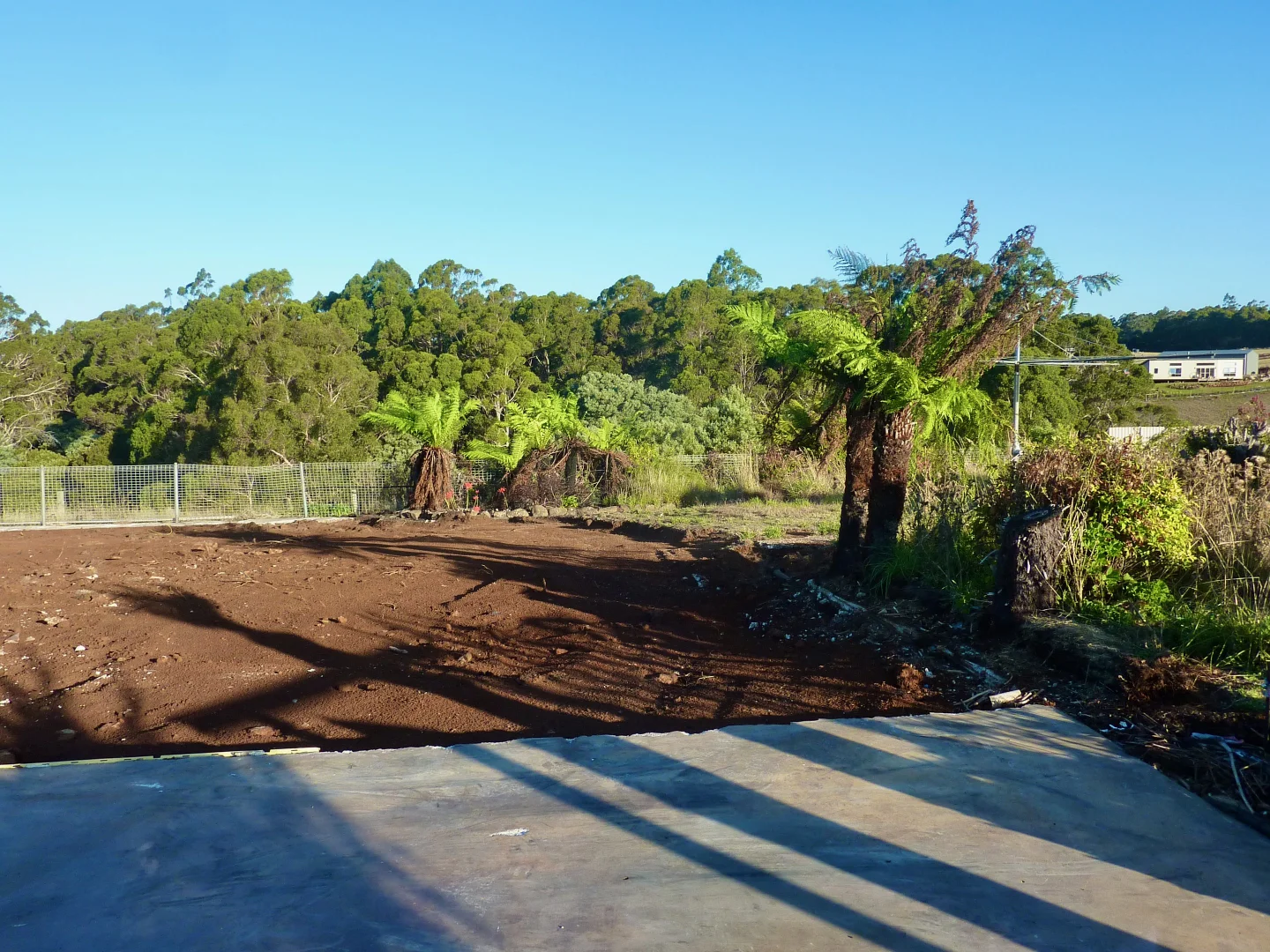 Additional image 14 of 470 Allison Rd, North Motton TAS 7315