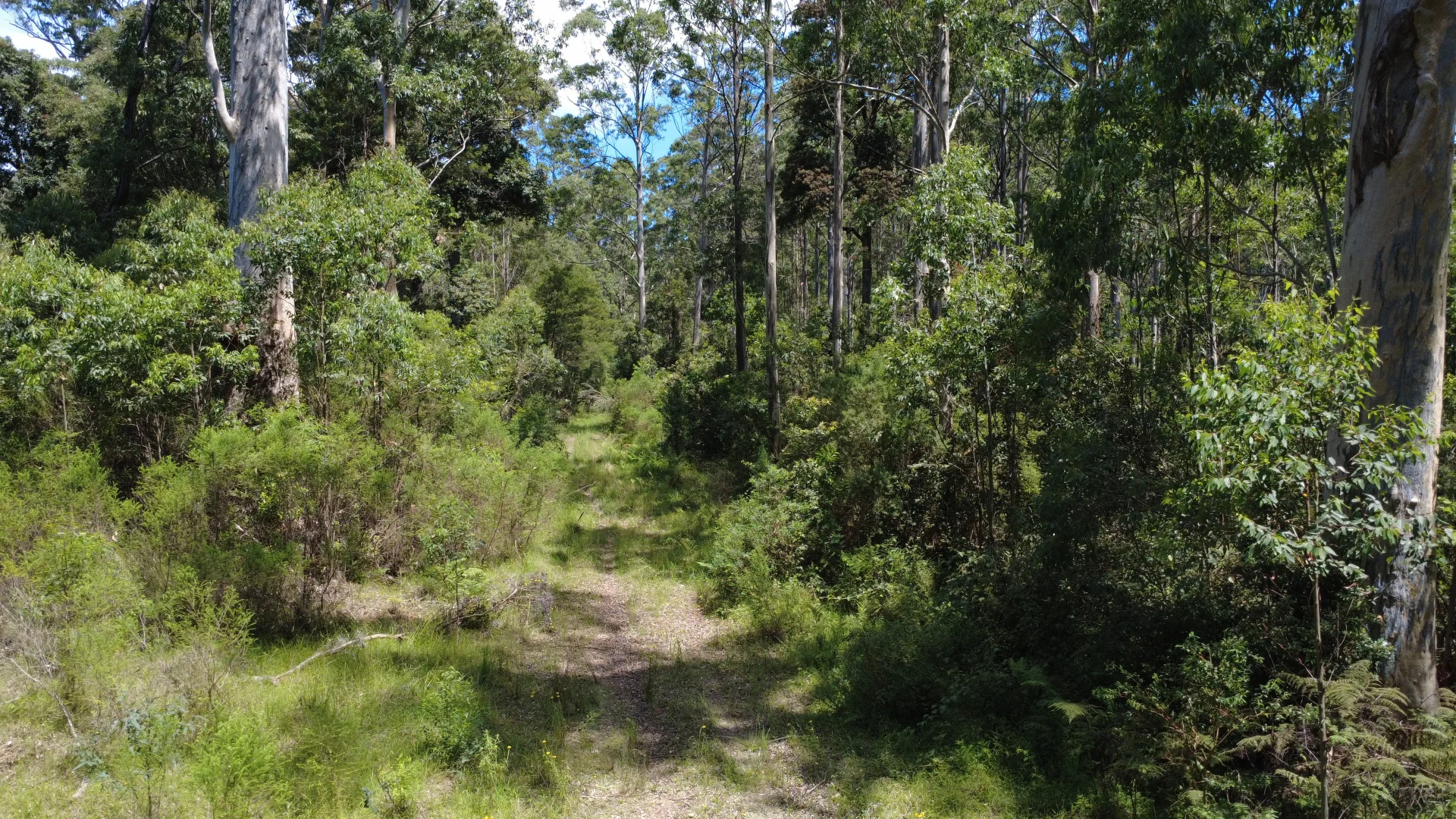Additional image 2 of Baxters Ridge Road, Gloucester NSW 2422
