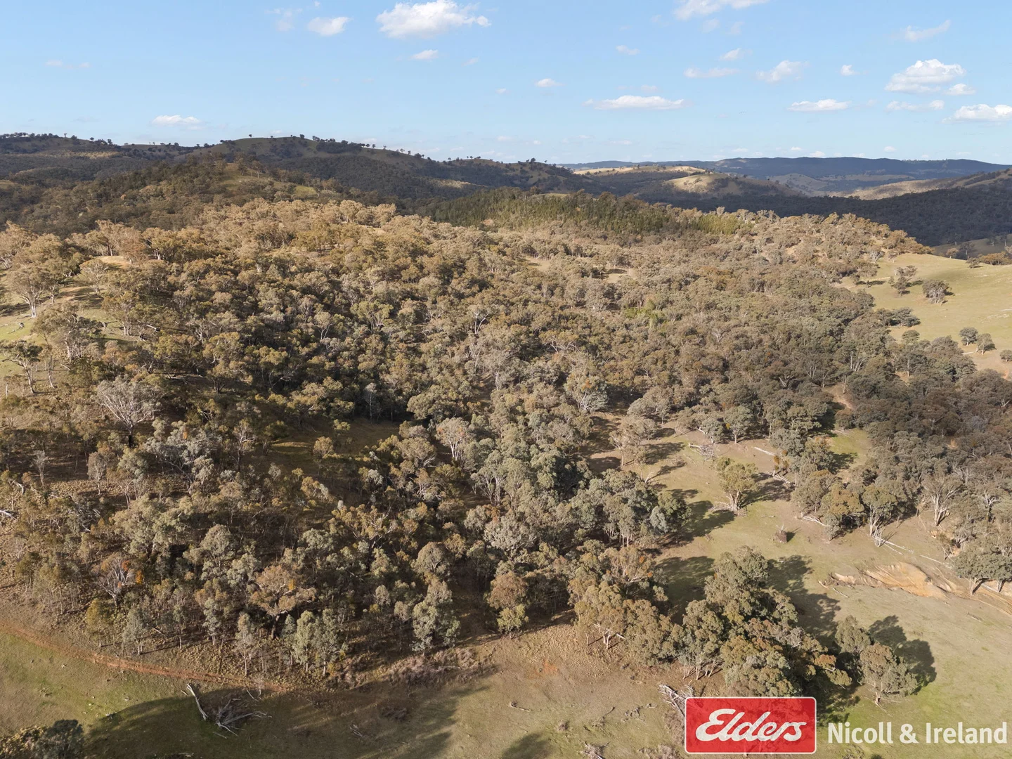Additional image 16 of 6843 Goulburn Road, Abercrombie River NSW 2795
