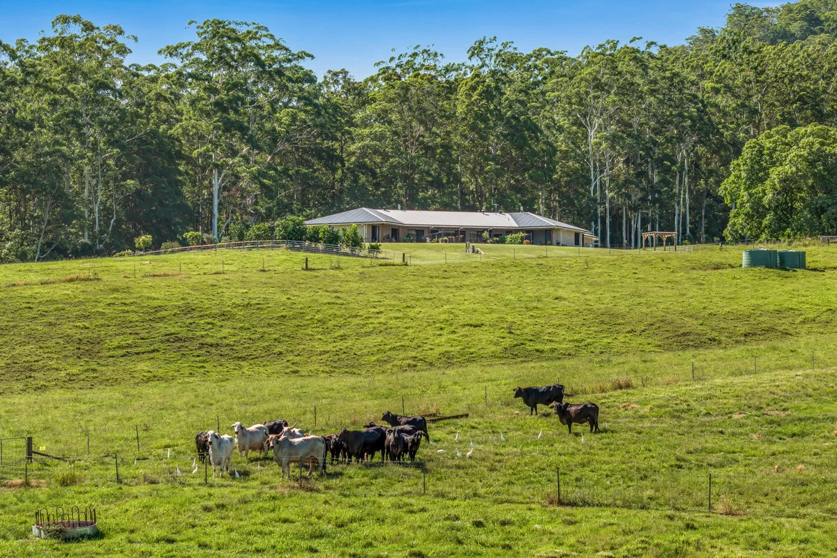 Additional image 25 of 81 Heath Road, Stanmore QLD 4514