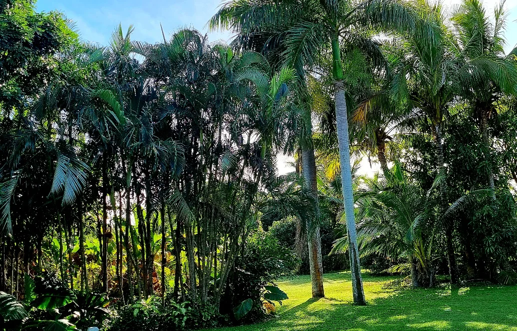 Additional image 16 of 22-38 Apsley Way, Andergrove QLD 4740