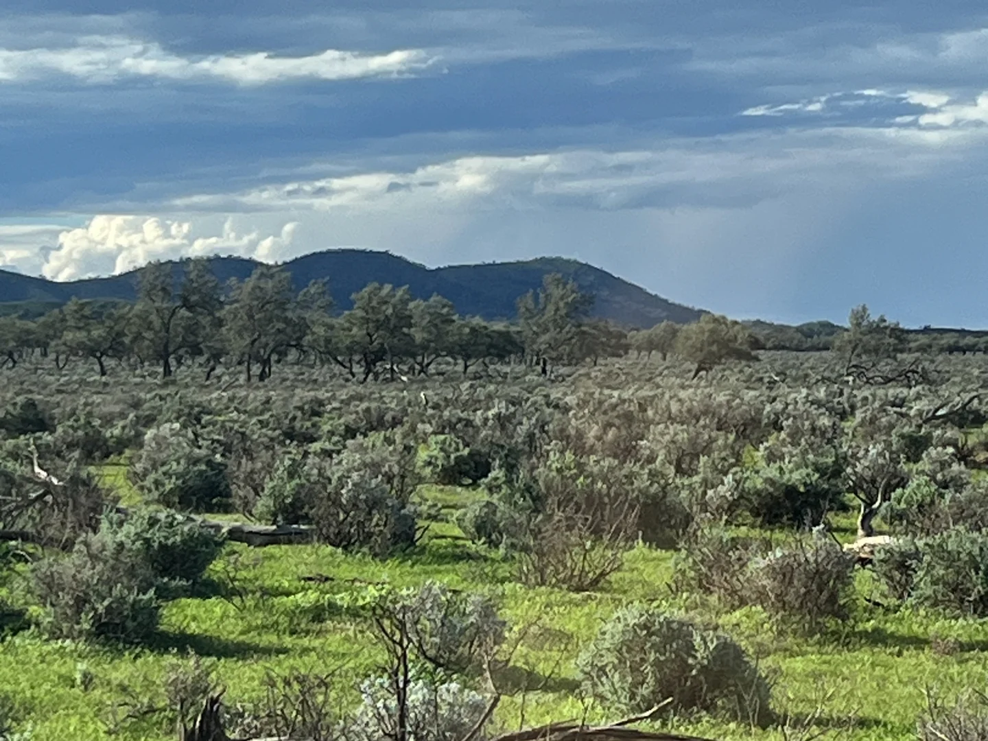 Additional image 2 of Lot 155 Hogback Lane, Warnes SA 5417