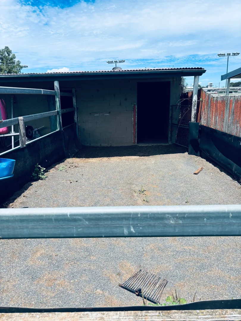 Additional image 15 of 46 Weetwood Street, Newtown QLD 4350