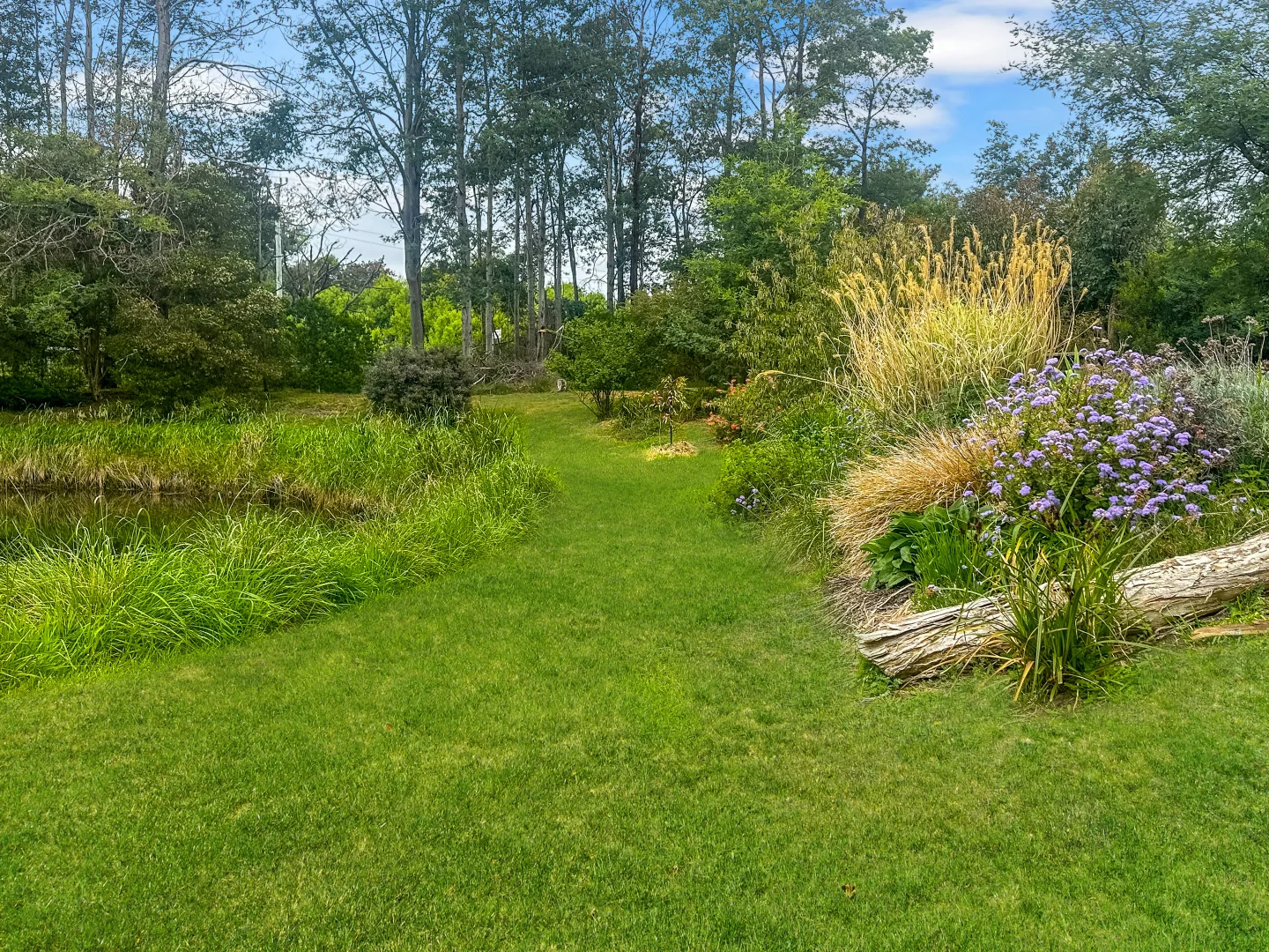 Additional image 14 of Lot 1 Binalong Bay Road, St Helens TAS 7216