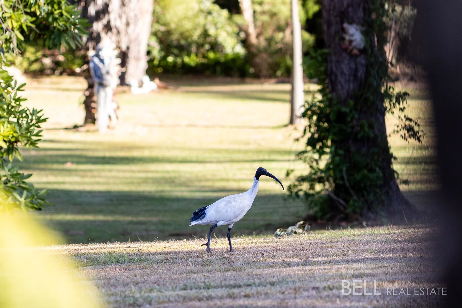Additional image 20 of 8 Matthews Court, Launching Place VIC 3139