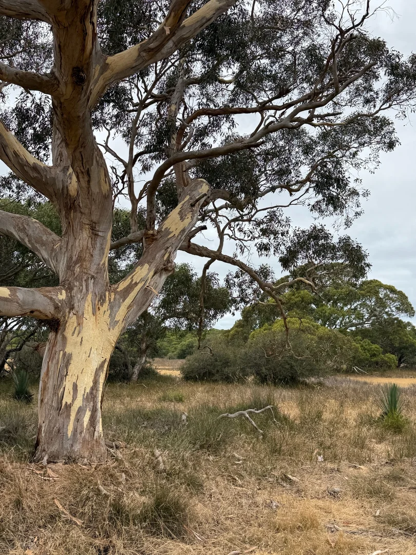 Additional image 5 of 490 East West Two Highway, Seddon SA 5223