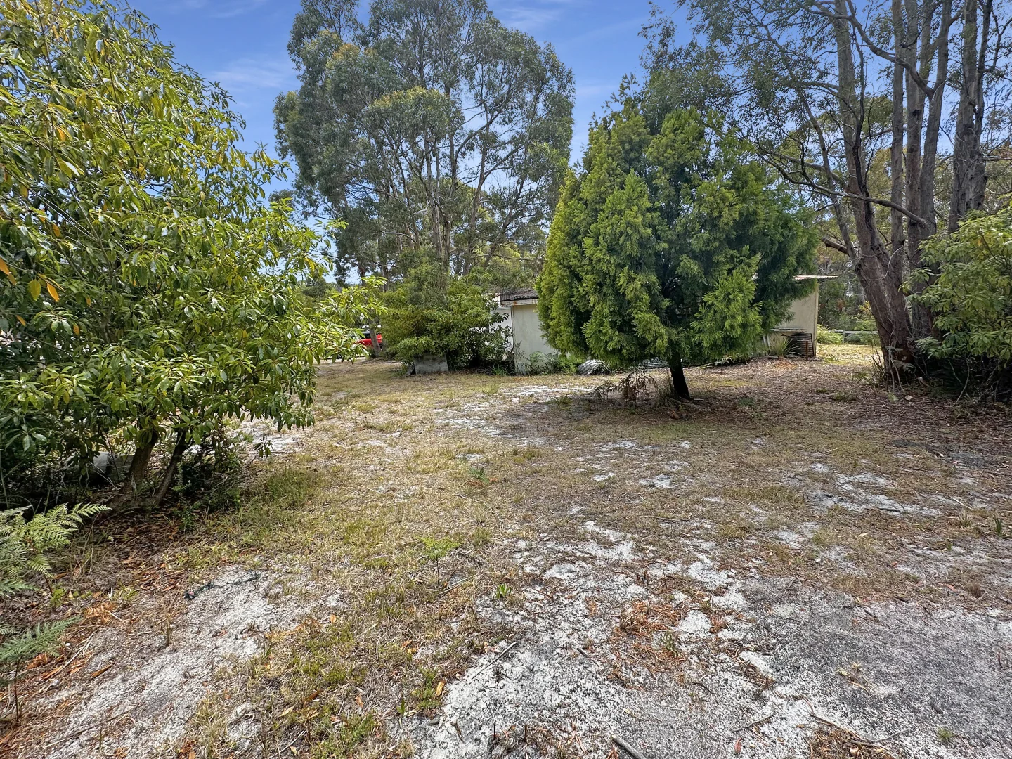 Additional image 3 of 168 Main Road, Binalong Bay TAS 7216