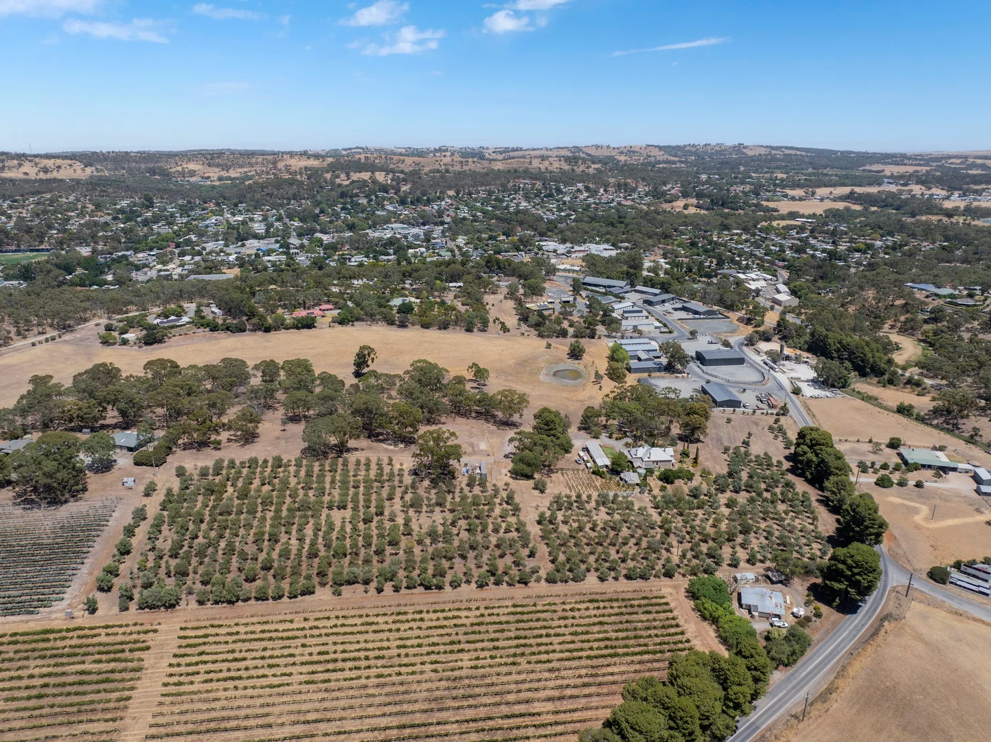 Additional image 33 of 134 Farrell Flat Road, Clare SA 5453