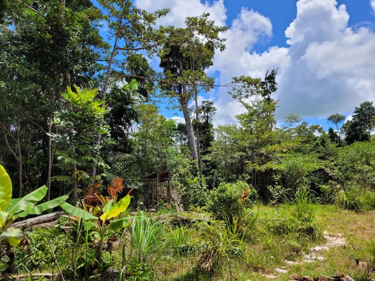 Lot 213 Kelly Road, Ellinjaa QLD 4886