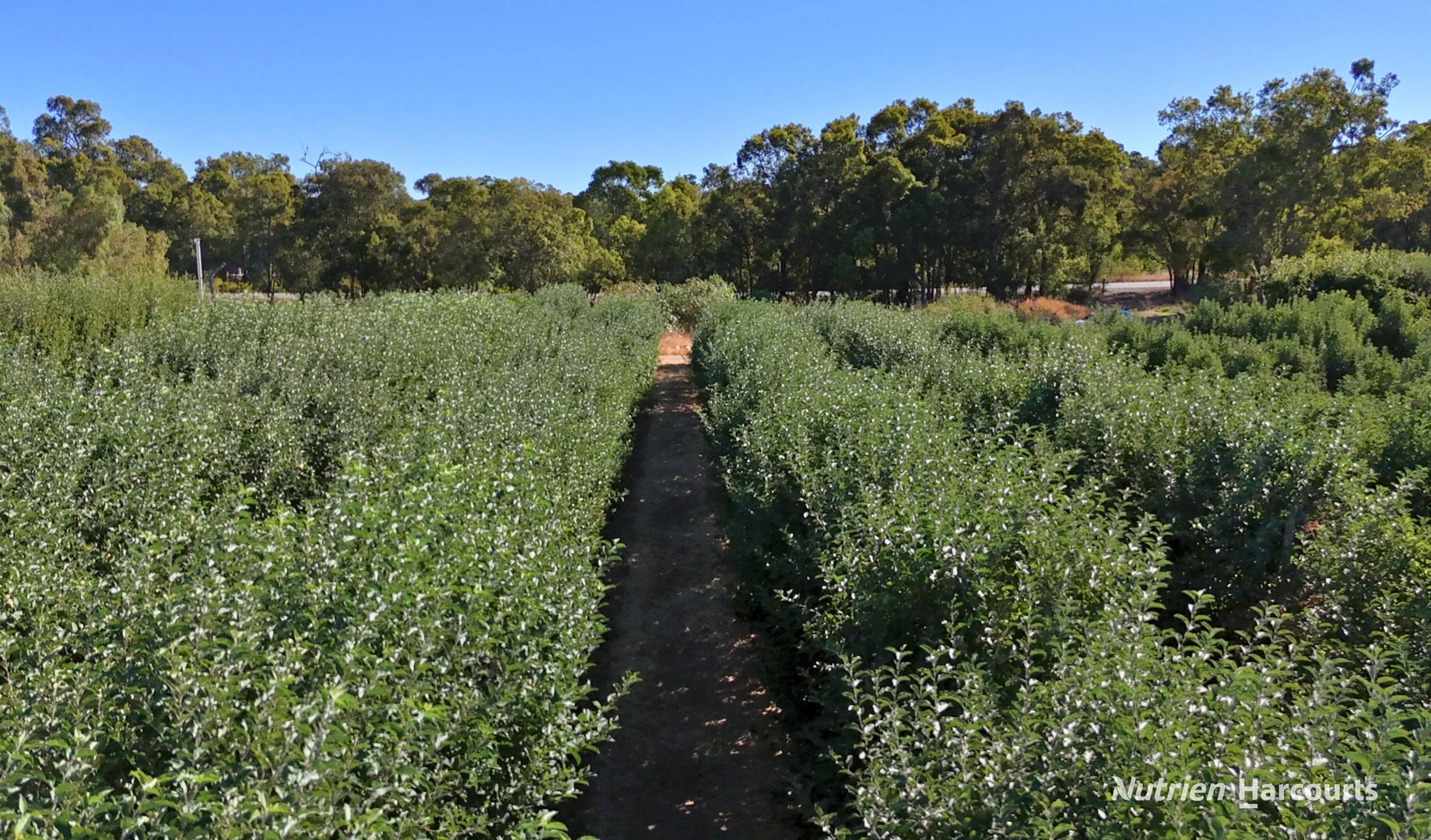 Additional image 5 of Lot 21 Brookton Highway, Karragullen WA 6111