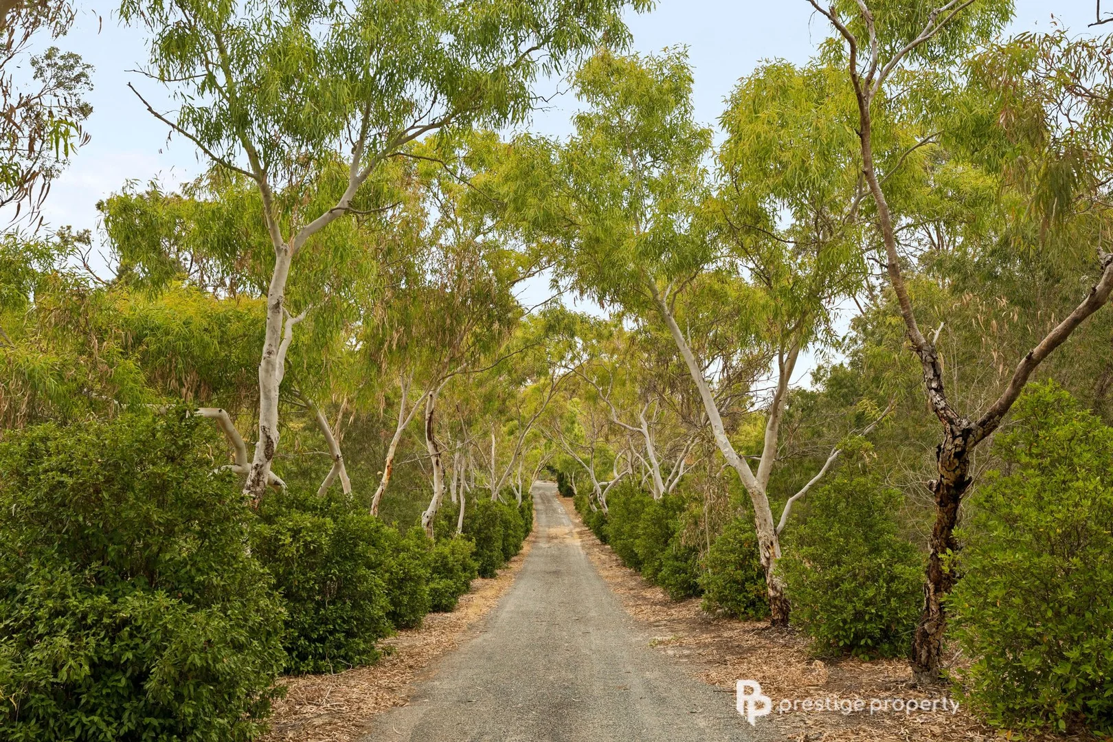 Additional image 2 of 21 Citrus Court, Two Rocks WA 6037