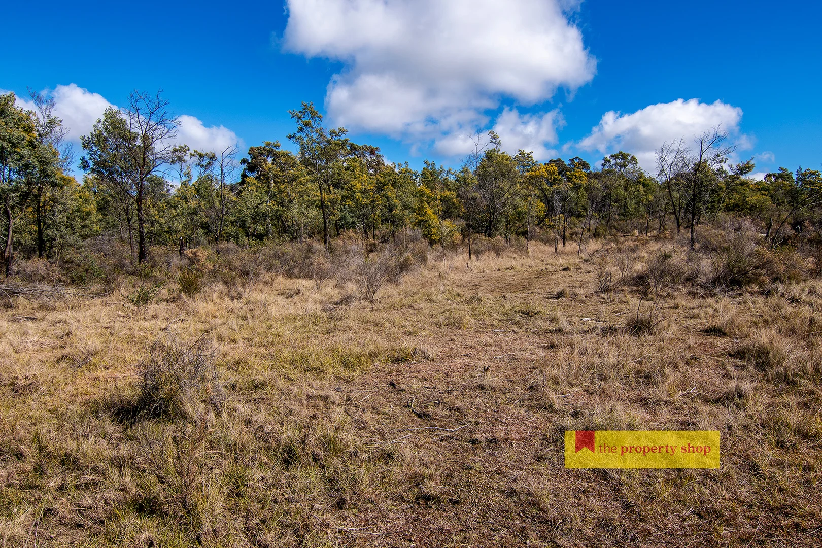 Additional image 6 of 4, 22 & 29/153 Triamble Road, Mudgee NSW 2850