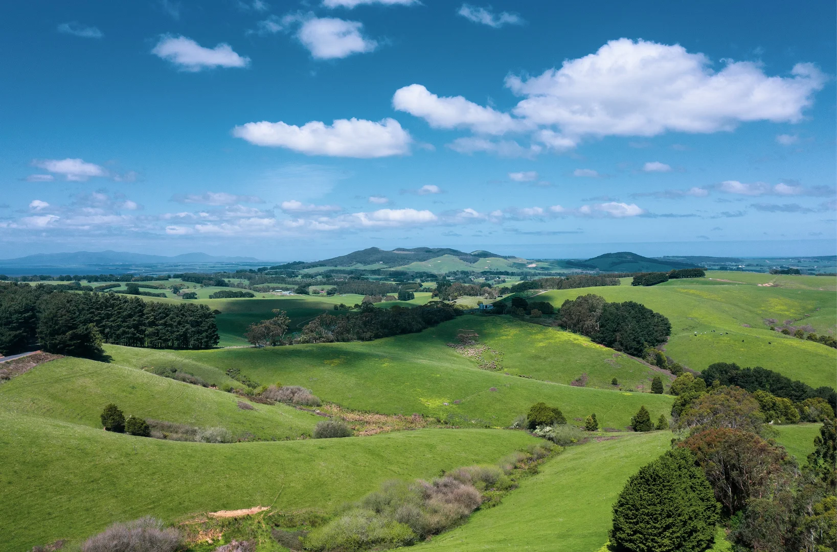 Additional image 2 of Foster VIC 3960