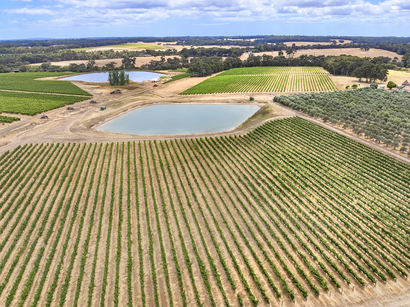 Additional image 8 of Lot 502 Clews Road, Cowaramup WA 6284