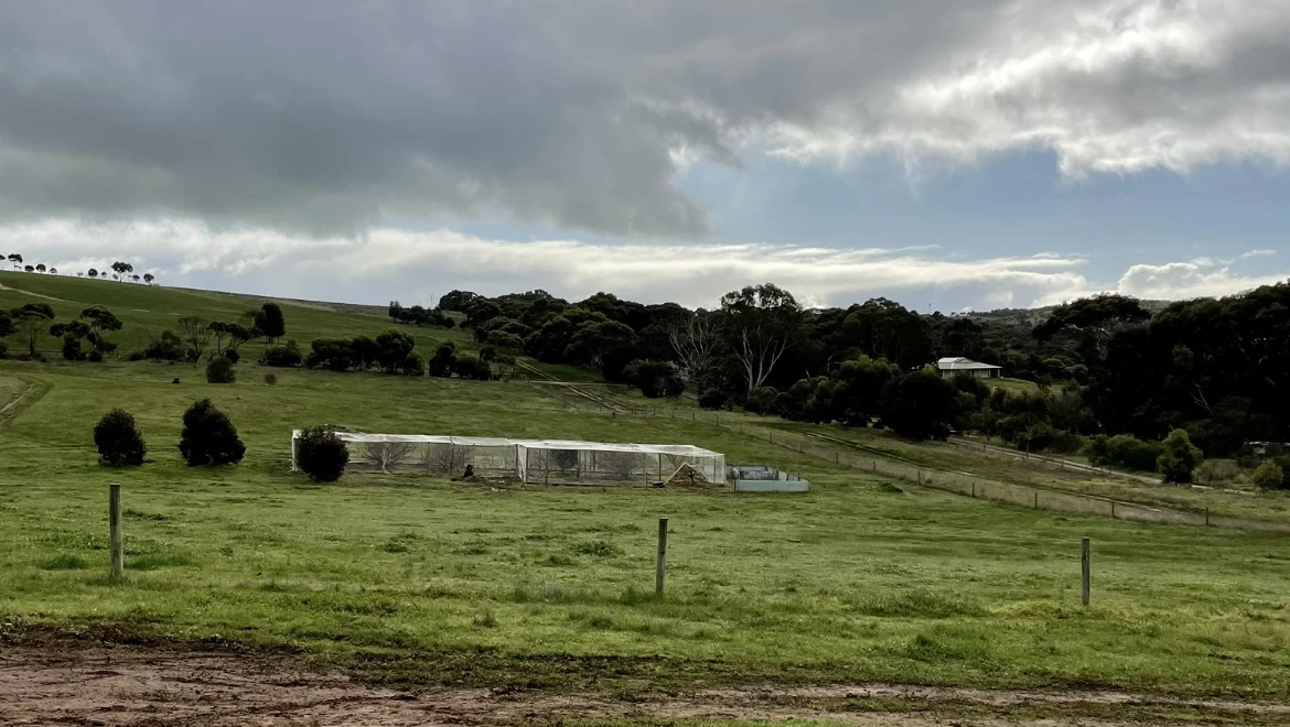 Additional image 25 of 7 Hidden Valley Lane, Boston SA 5607