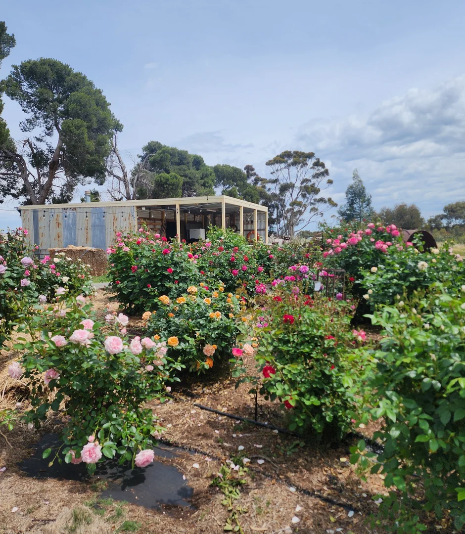 Additional image 23 of 340 Tohls Road, Booborowie SA 5417