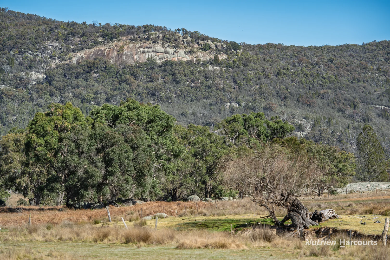 Additional image 38 of 206 - 208 Rocky Glen Road, Kingstown NSW 2358