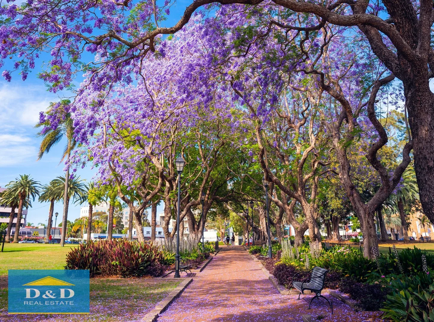 Additional image 27 of 2213/1A Morton Street, Parramatta NSW 2150