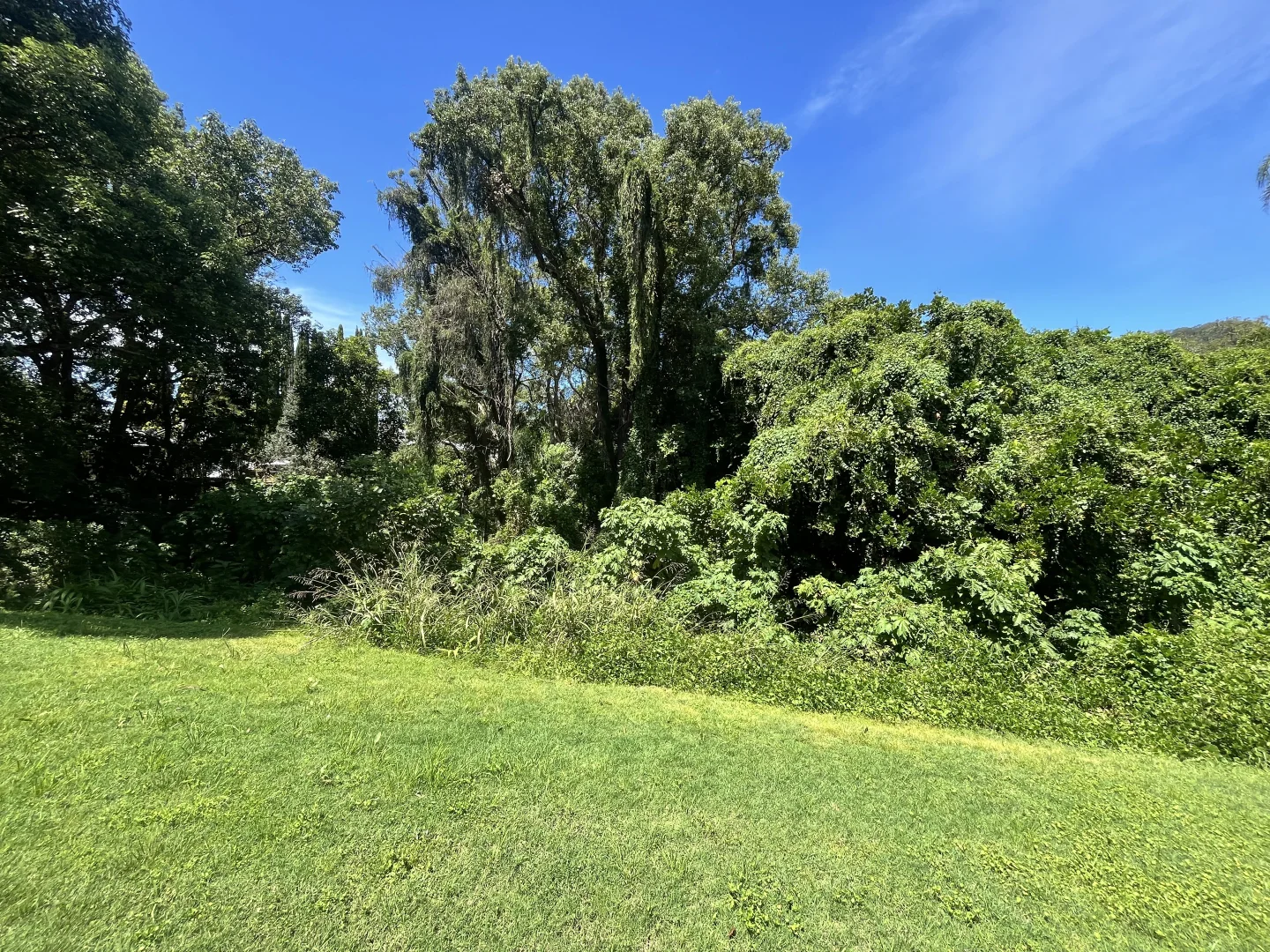 Additional image 9 of 41-45 Kyogle Road, Kyogle NSW 2474