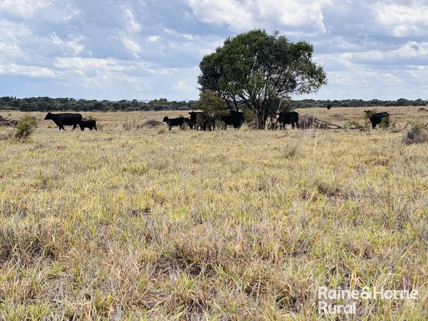 Additional image 10 of 330 Burrow Downs Road, Injune QLD 4454