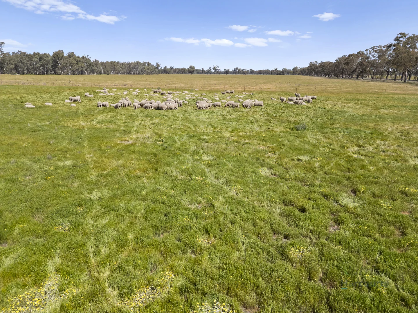 Additional image 4 of 1633 Euroa-Shepparton Road, Miepoll VIC 3666