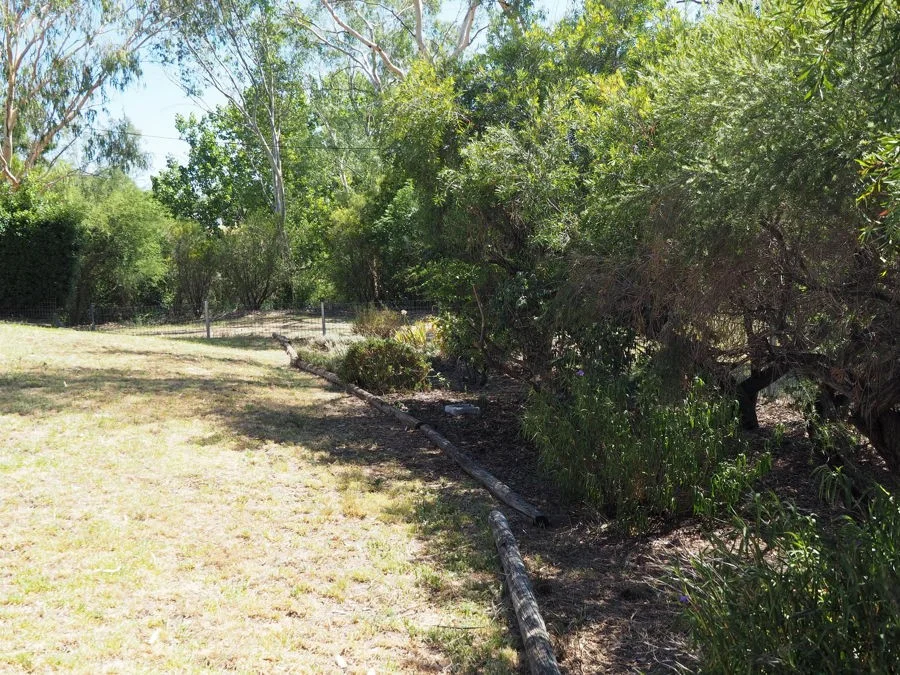 Additional image 17 of 58 Market Street, Warialda NSW 2402