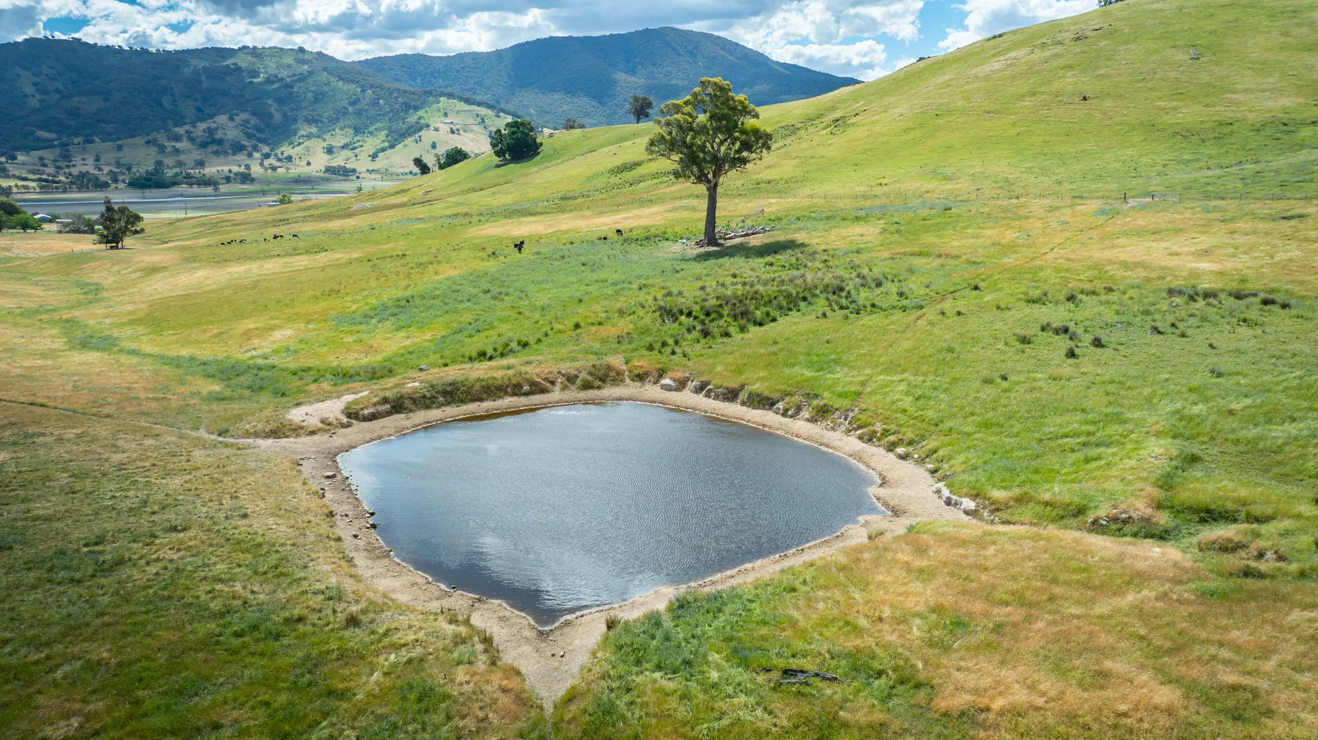 Additional image 16 of 4118 Murray River Road, Thologolong VIC 3691