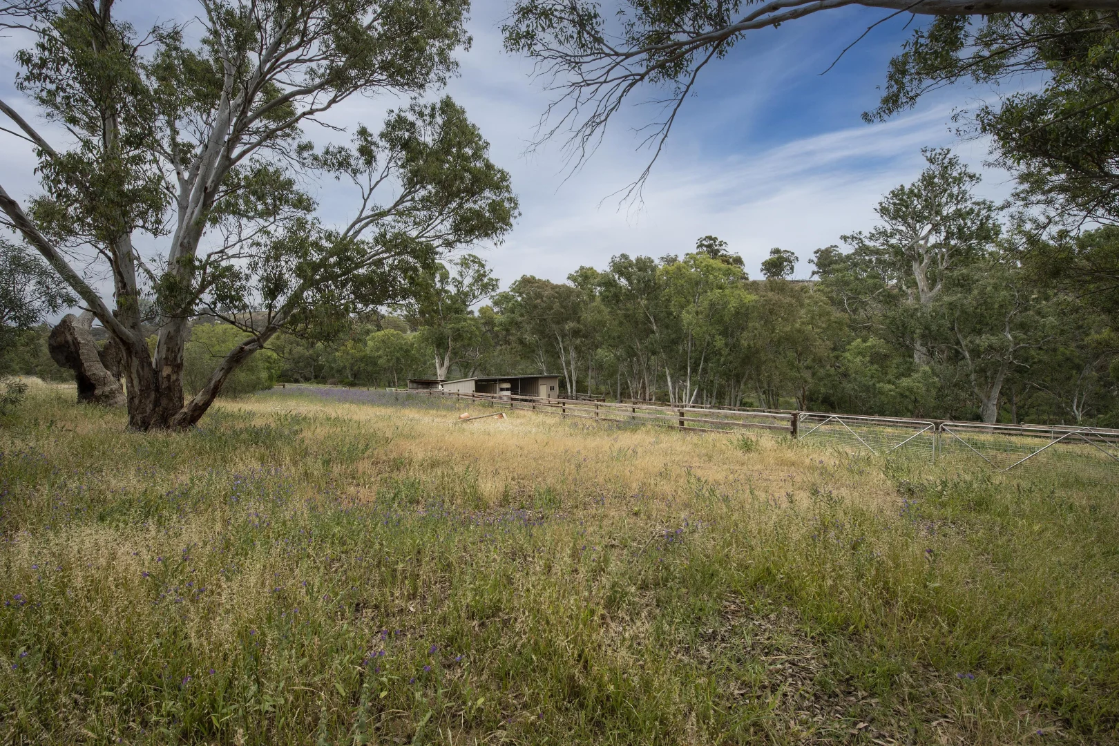 Additional image 27 of 1479 Survey Rd, Melrose SA 5483