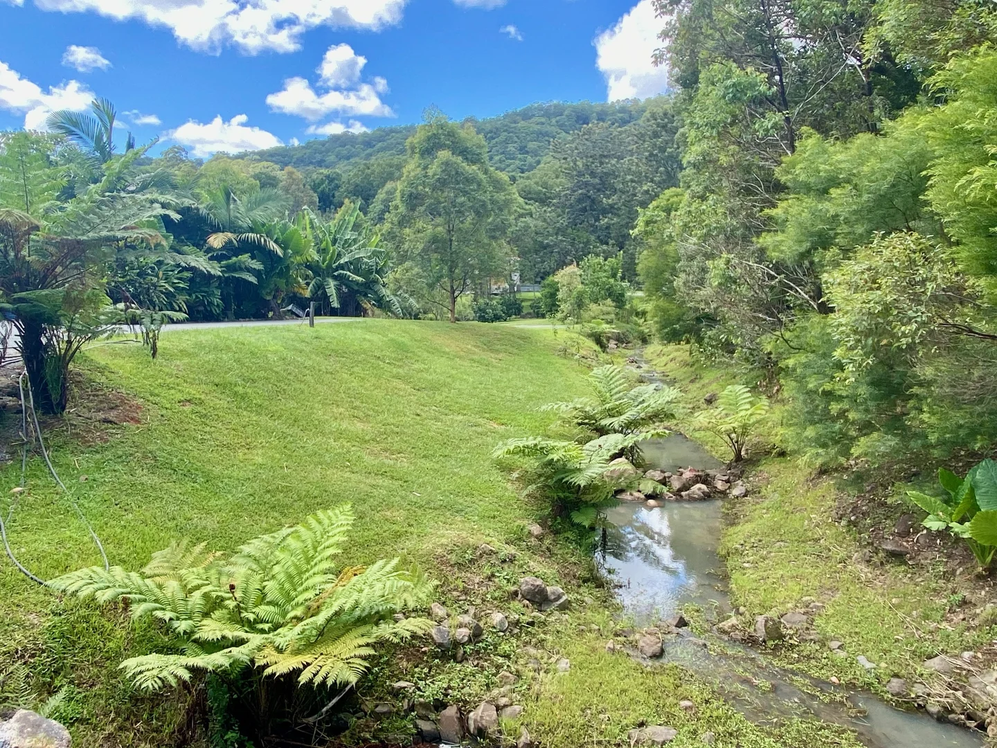 Additional image 6 of 1318 Currumbin Creek Road, Currumbin Valley QLD 4223