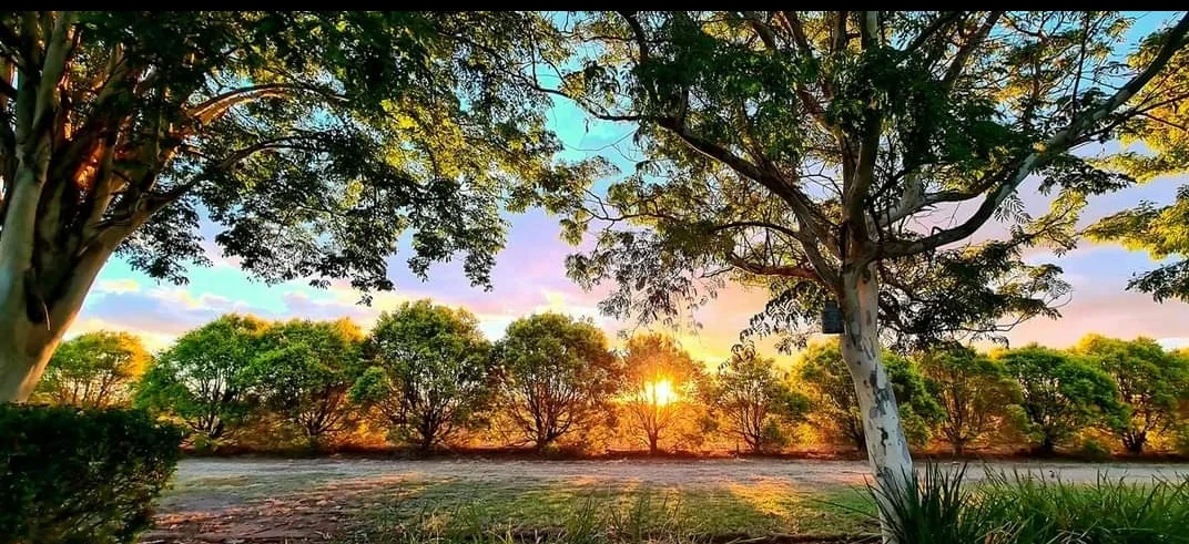 Additional image 23 of 'Aura Park' North Pattens Road, Boynewood, Mundubbera QLD 4626