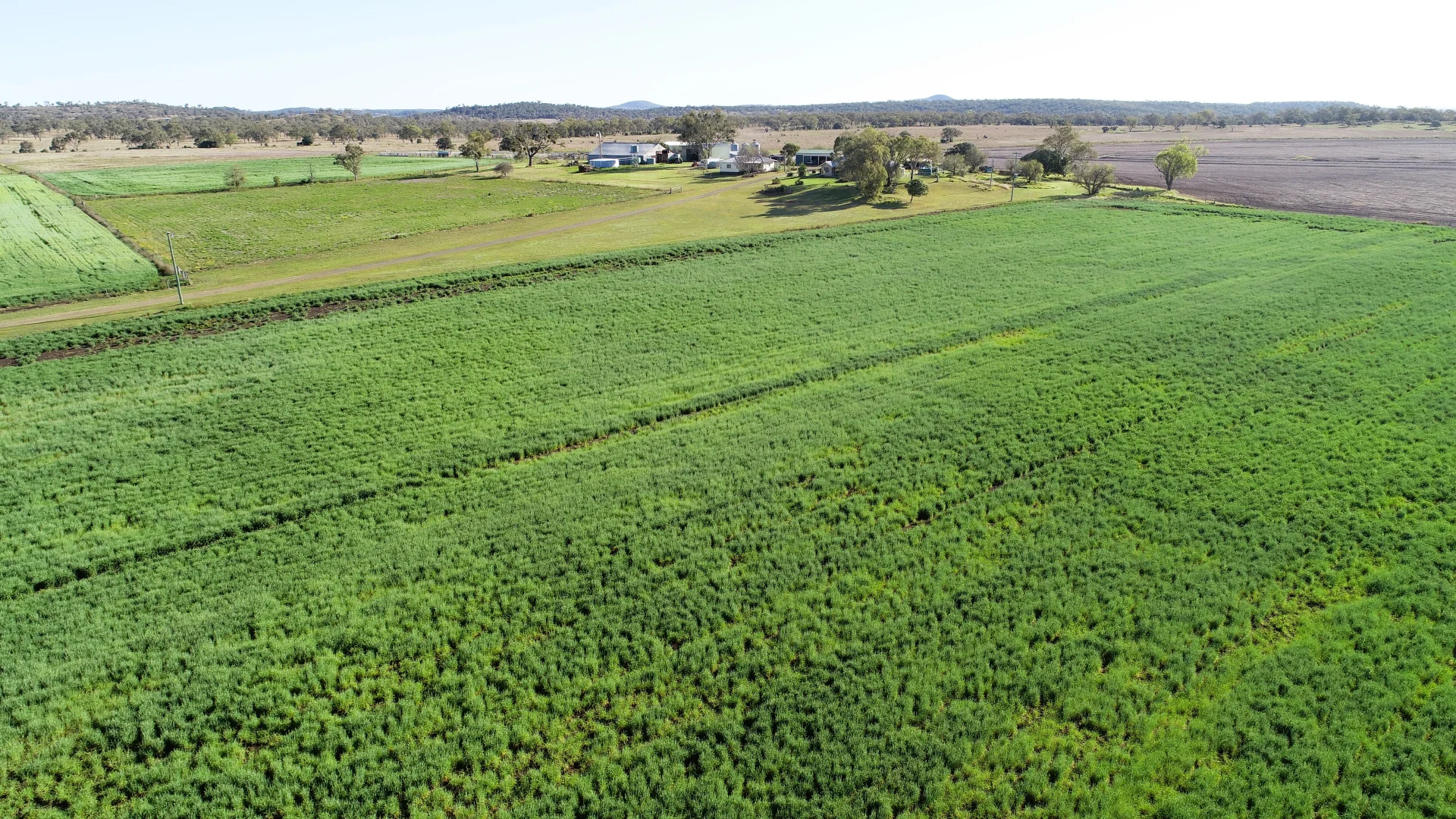 Additional image 38 of 'The Overflow' 102 Crighton Road, Biddeston QLD 4401