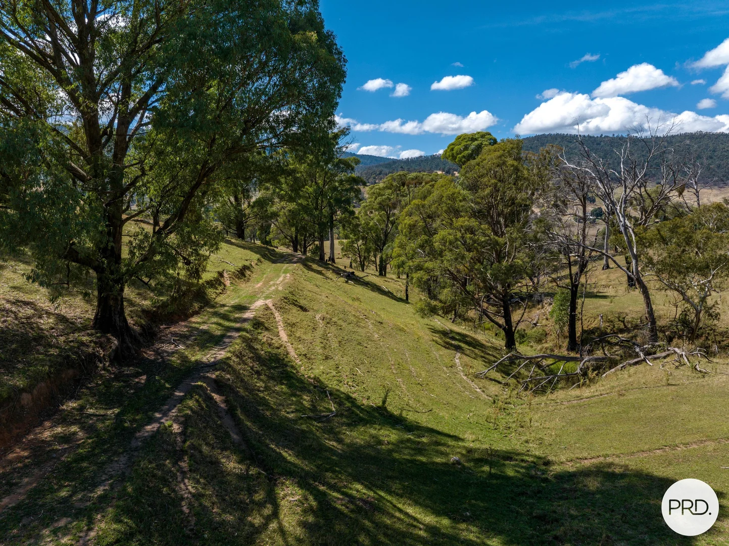 Additional image 75 of 1100 Batlow Road, Tumbarumba NSW 2653