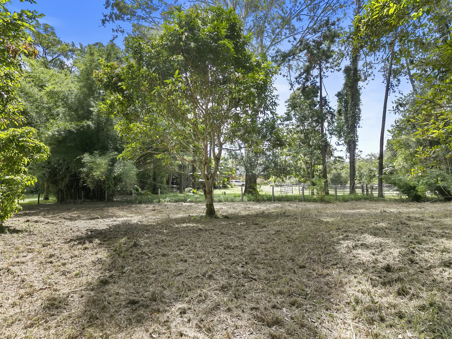 Additional image 24 of 824 Eumundi Noosa Road, Doonan QLD 4562