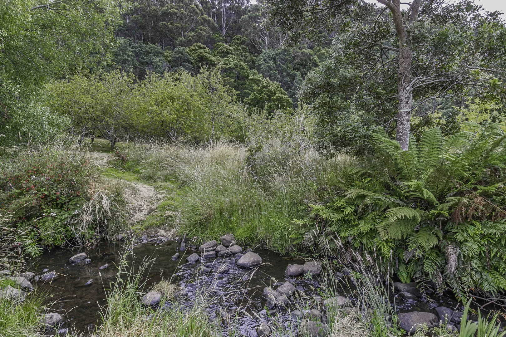 Additional image 33 of 4030 Huon Highway, Castle Forbes Bay TAS 7116