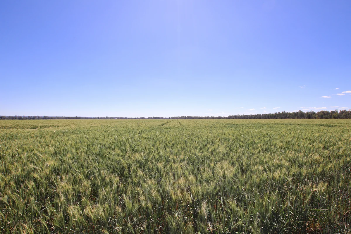 Additional image 29 of "Edenbelle" Lake Pleasant Road, Goovigen QLD 4702