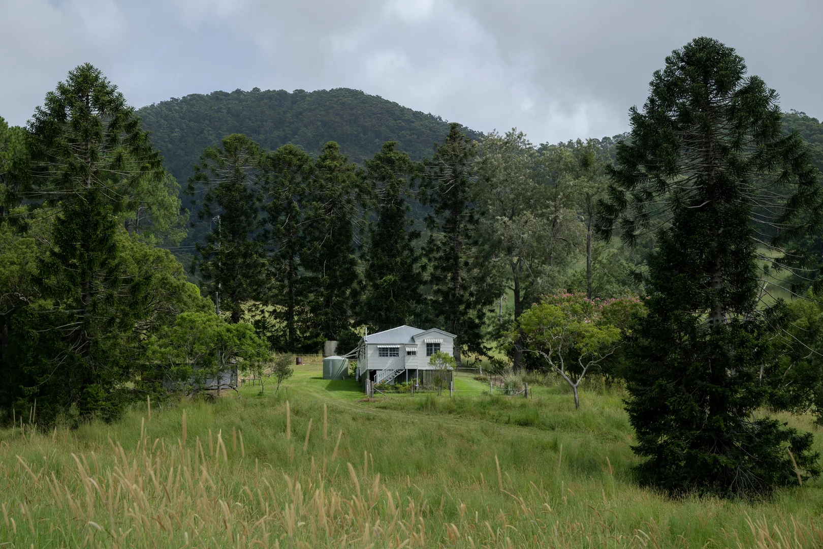 Additional image 24 of 43 Cutmore Road, Obi Obi QLD 4574