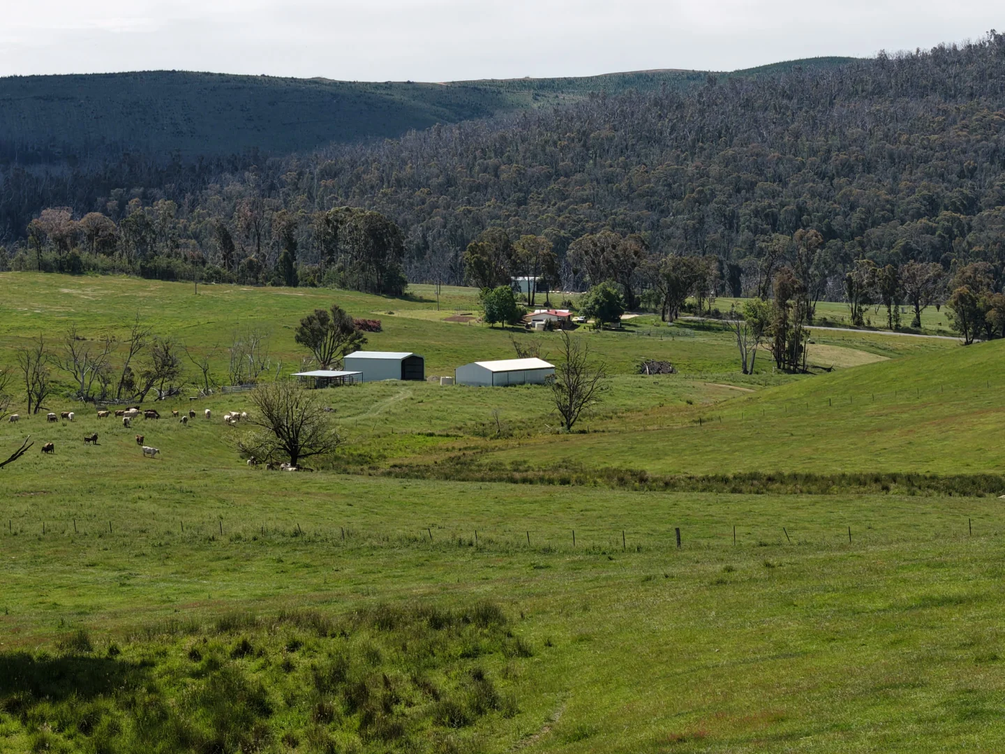 Additional image 4 of 954 Courabyra Road, Tumbarumba NSW 2653
