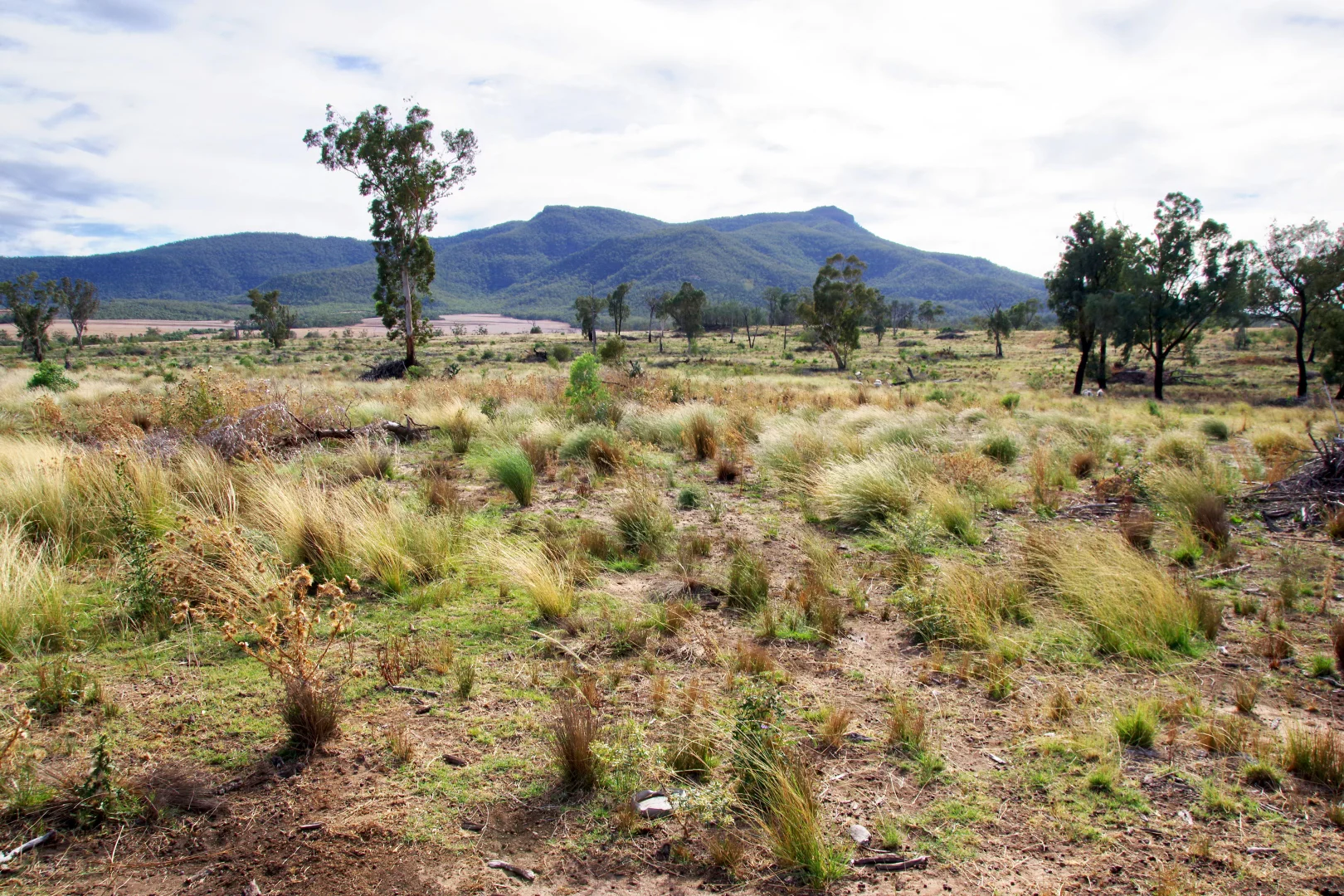 Additional image 46 of 2381. Killarney Gap Road, Narrabri NSW 2390