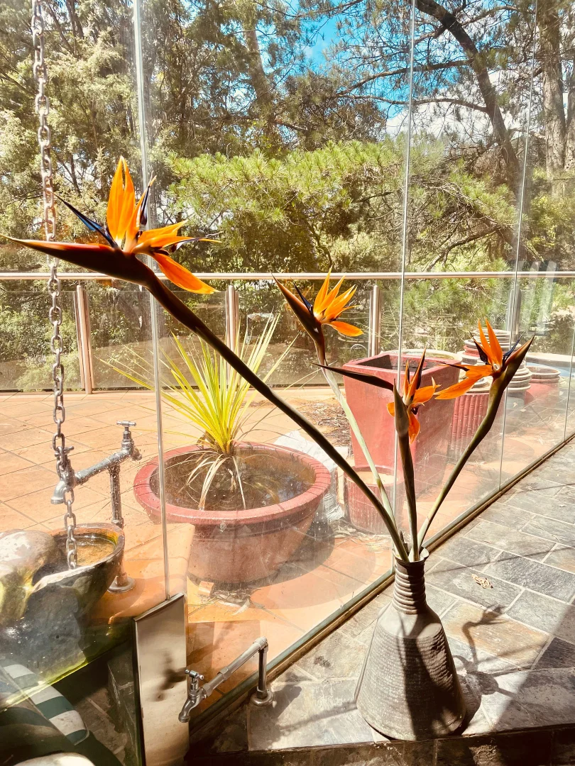 Additional image 9 of 6 MOZART CIRCLE, Donvale VIC 3111