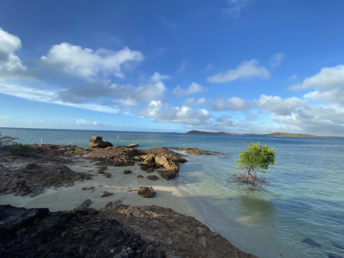 Additional image 31 of Lot 1 Esplanade, Shelburne QLD 4874