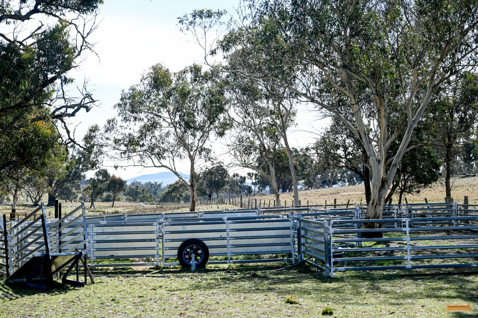 Additional image 14 of "The Top Paddock" Bairds Crossing Road, Dalgety NSW 2628